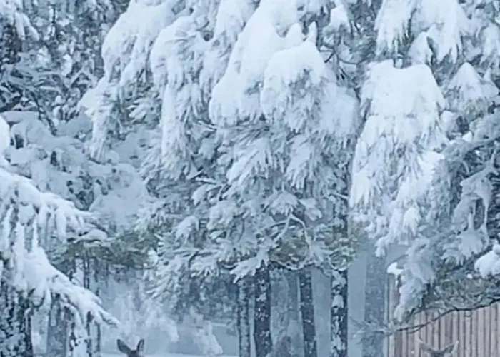 Kathys Cabin, King Bed, Hot Tub, Near-nau & Downtown Attractions, Perfect Year-round Mountain Getaway